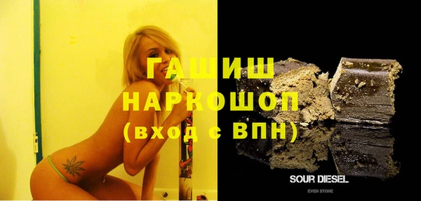 индика Беломорск