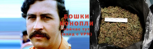 индика Беломорск