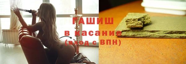 индика Беломорск
