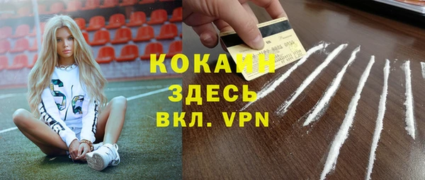 индика Беломорск