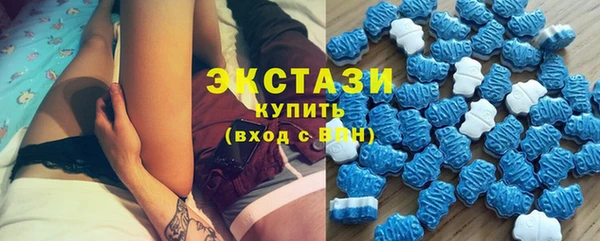 индика Беломорск