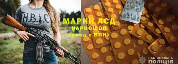 индика Беломорск