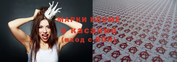 индика Беломорск